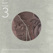 Adult Swim Singles Program