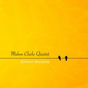 Autumn Nocturne