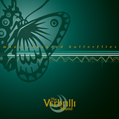 Many Coloured Butterflies Re-Issue