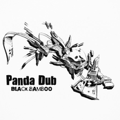Black bamboo