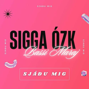 SJÁÐU MIG (feat. Bassi Maraj)