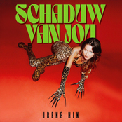 Schaduw Van Jou - Single