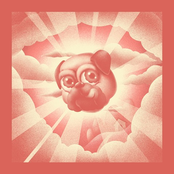PUG LIFE 1/4