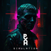 Simulation