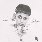 TJ DTS: PRINCE
