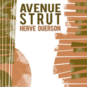 Avenue Strut