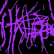 Pre-Demo