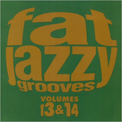 Fat Jazzy Grooves, Volumes 13 & 14