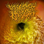 Morning Wood Piss Session