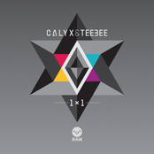 Calyx: 1x1