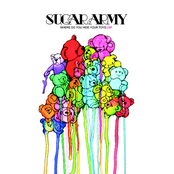 Where Do You Hide Your Toys