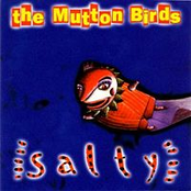 No Telling When by The Mutton Birds