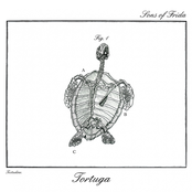 Tortuga
