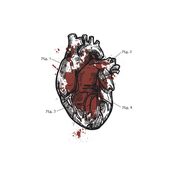 The Anatomy of Bad Luck