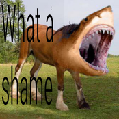 What a Shame 2