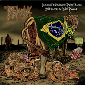 Desintegrando Puritanos - Böötlive in São Paulo