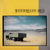 Is It Love by Watermelon Men