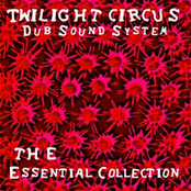 Acetate by Twilight Circus Dub Sound System