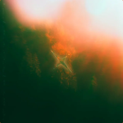 WATERCOLORS: THE EMERALD GROVE