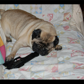 i really wanna off it