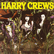 Man Hates Man by Harry Crews