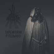 Tapeworm Pyramids - Single