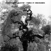 Split-10" (w/ Kammerflimmer Kollektief)