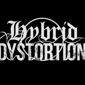 hybrid dystortion