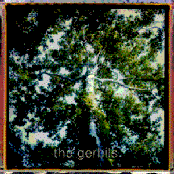 Walnuts by The Gerbils