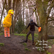 State Bird of No One