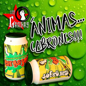 Ánimas... Cabrones!!