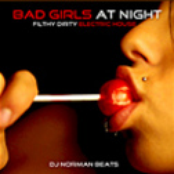 Bad Girls At Night (Filthy Dirty Electric House)