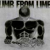 End Of Time by Limb From Limb