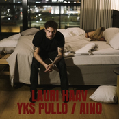 Yks pullo / Aino