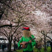 Lost Ox: Tale of the Fool