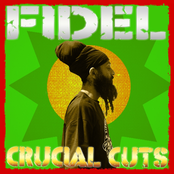 Fidel Nadal: Crucial Cuts