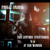 20th Century Strategies b/w If You Wander