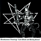 Cold Blood and Boiling Semen (Split)