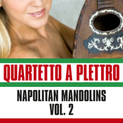 Napolitans Mandolins, Vol. 2