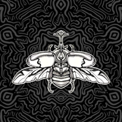 Canciones para insectos