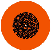 Ivan Conti Mamão Encontra Síntese & Brandão