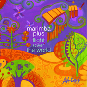 Flight Over the World