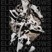 Eleven Crows