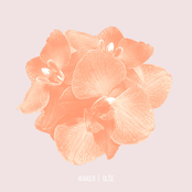 Факел / Olše Split