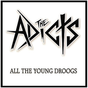 all the young droogs