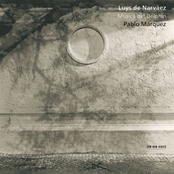 Musica del Delphin