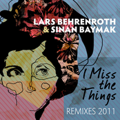 I Miss the Things (Remixes 2011)