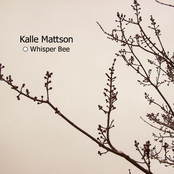 Kalle Mattson: Whisper Bee