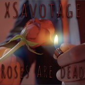 Roses Are Dead