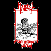 Tame The Beast Within